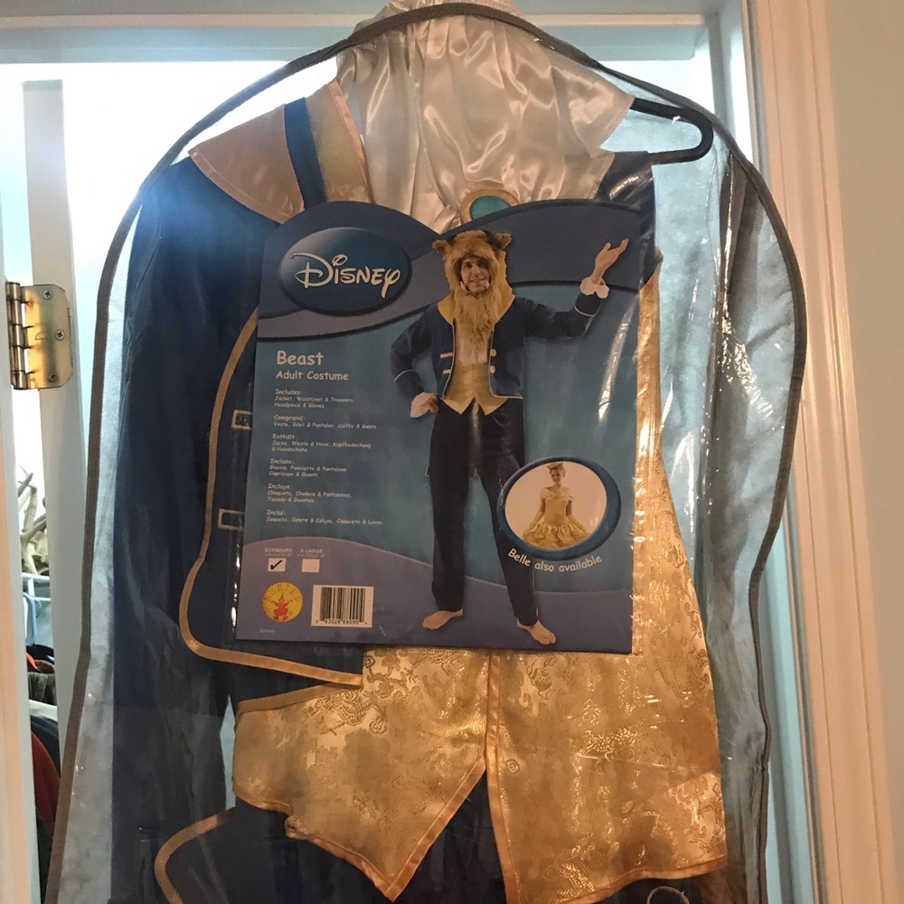 Disney Beast Costume